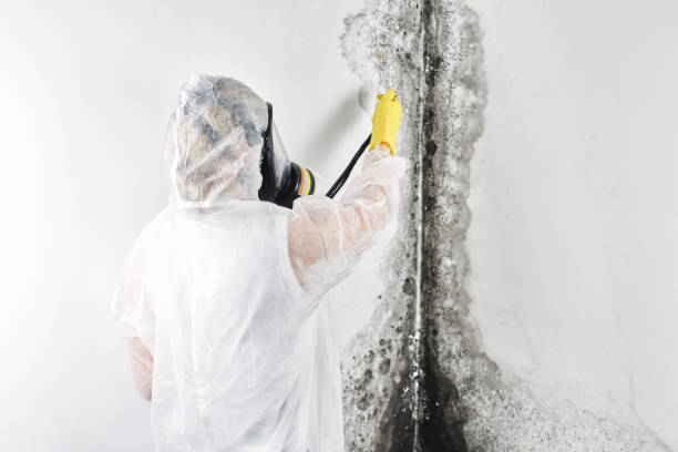 Best Water damage restoration near me  in Westby, WI